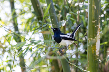 Similar image 22474698