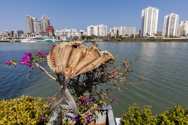 Similar image 22474699