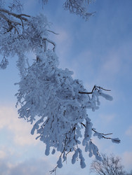 Similar image 22465874