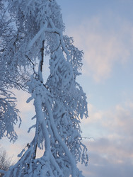 Similar image 22465875