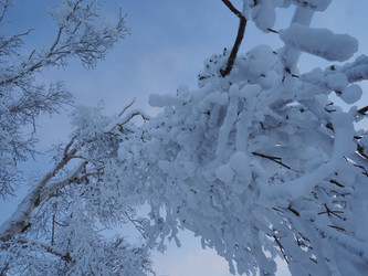 Similar image 22465876