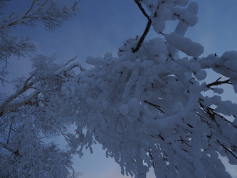 Similar image 22465878