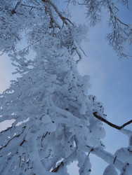 Similar image 22465879