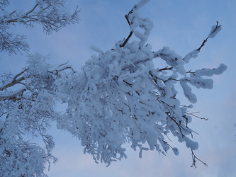 Similar image 22465880