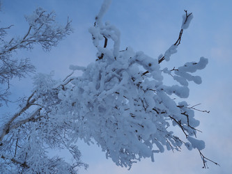 Similar image 22465881