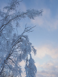 Similar image 22465882