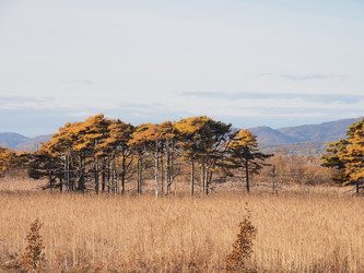 Similar image 22465883