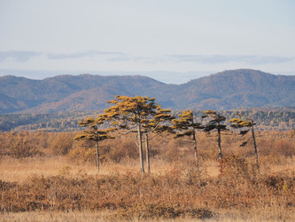 Similar image 22465884