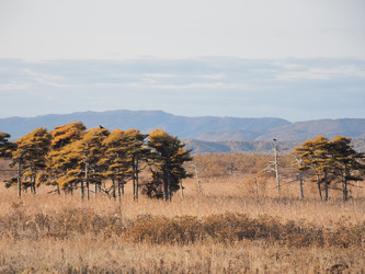 Similar image 22465893