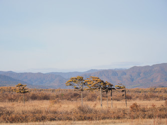 Similar image 22465894