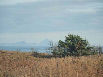 Similar image 22465895