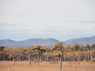 Similar image 22465897