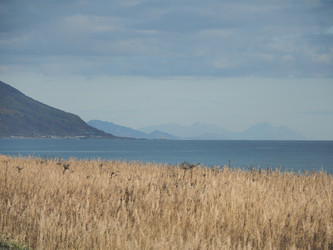 Similar image 22465898