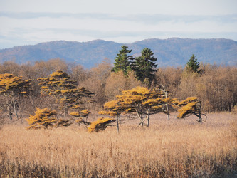 Similar image 22465899