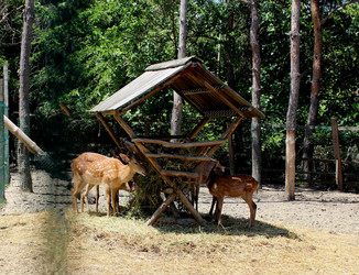 Similar image 22474665