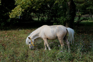 Similar image 22474671