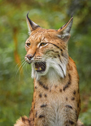 Similar image 22473299