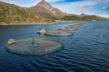 Similar image 22473305