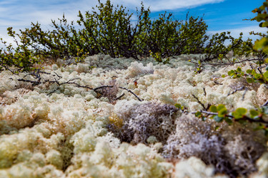 Similar image 22473308