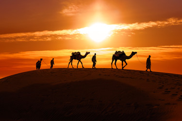 Similar image 22473309