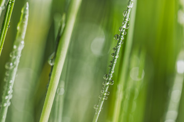 Similar image 22473310