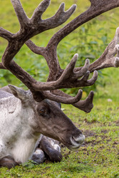 Similar image 22473314