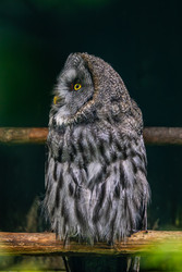 Similar image 22473315