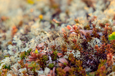 Similar image 22473325