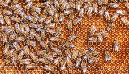 Similar image 22473328