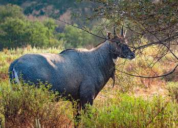 Similar image 22473330