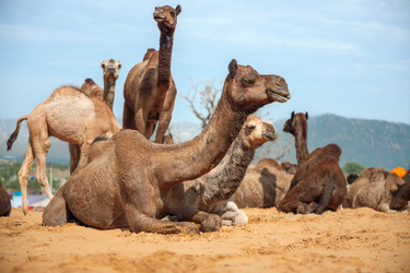 Similar image 22473332