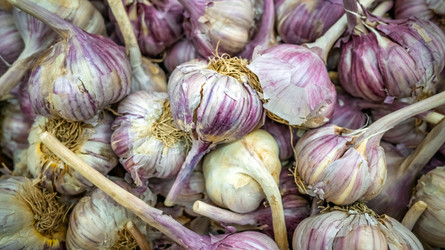 Similar image 22473336