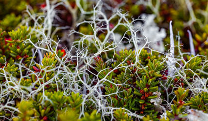 Similar image 22473338