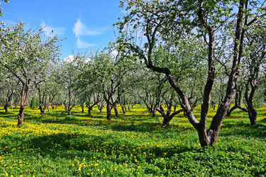 Similar image 22469591