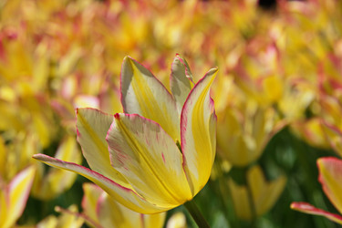 Similar image 22469615