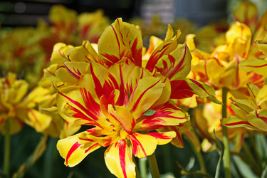 Similar image 22469616