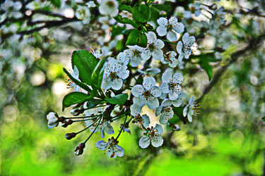 Similar image 22469619