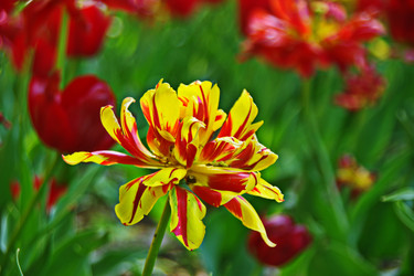 Similar image 22469595