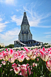 Similar image 22469596