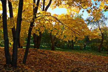 Similar image 22469597