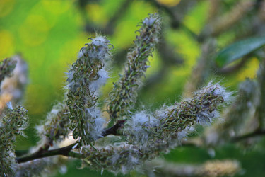 Similar image 22469599