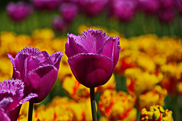 Similar image 22469600