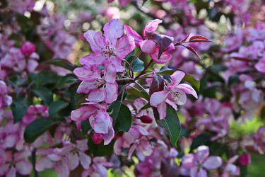 Similar image 22469601