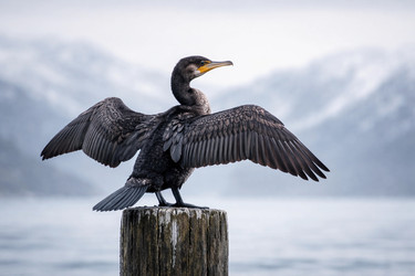 Similar image 22473537