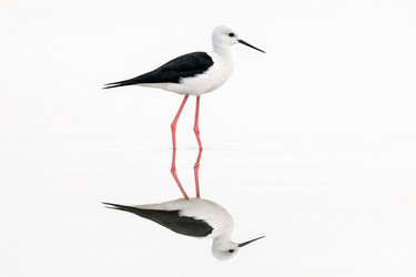 Similar image 22473538