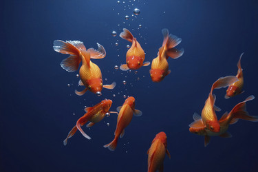 Similar image 22476806