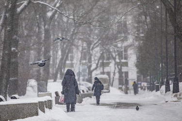 Similar image 22472968