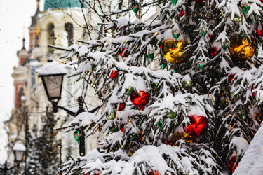 Similar image 22470593