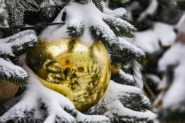 Similar image 22470594