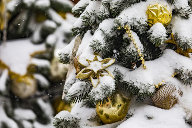 Similar image 22470599